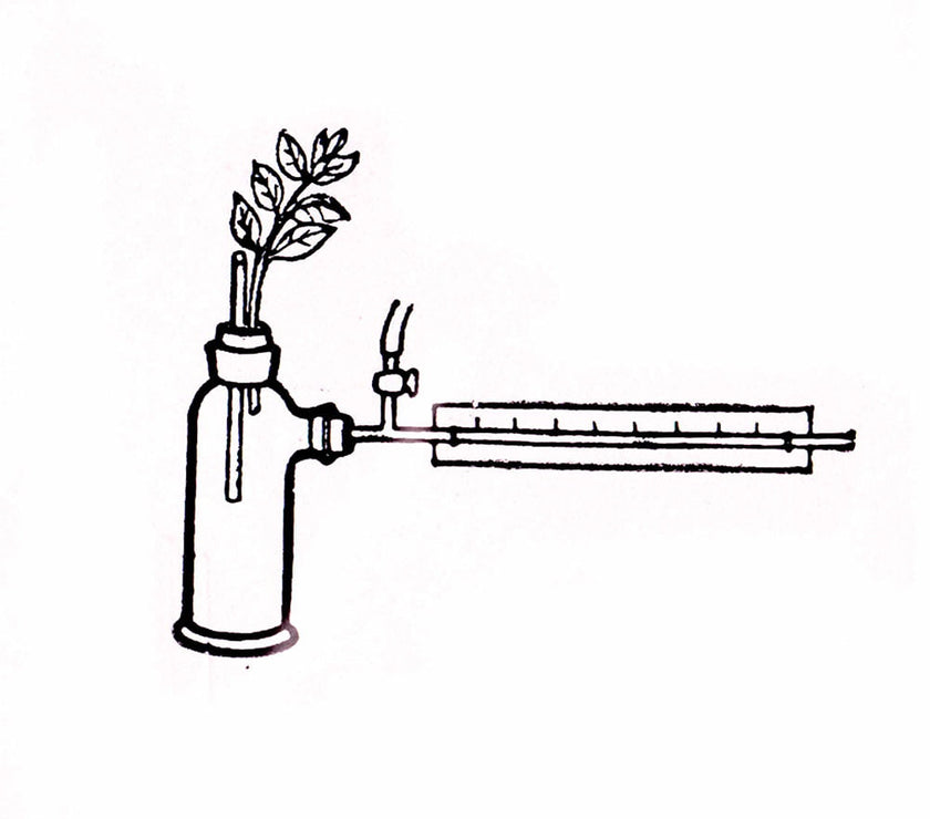 Apparatus for Investigating Transpiration