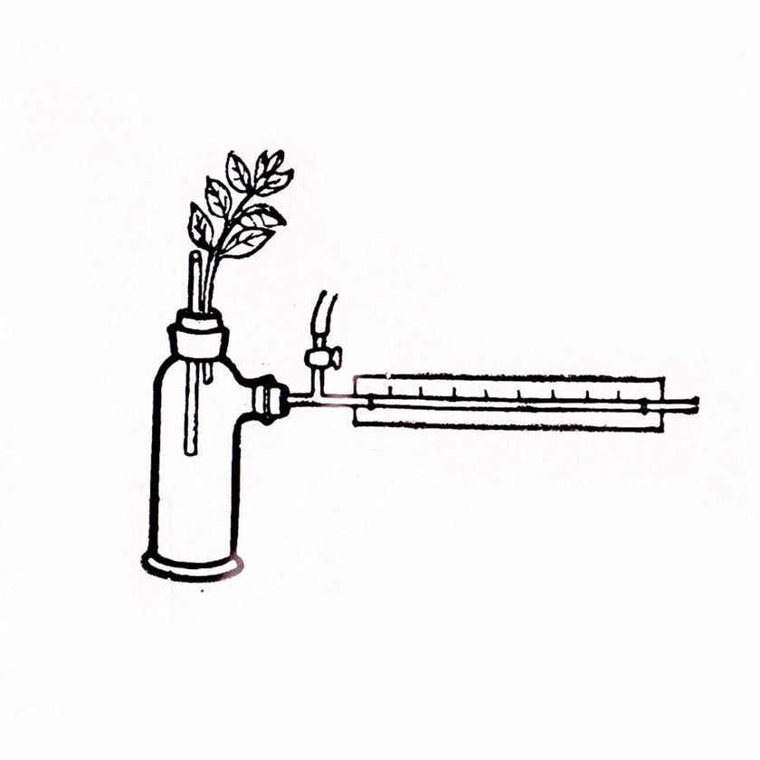 Apparatus for Investigating Transpiration