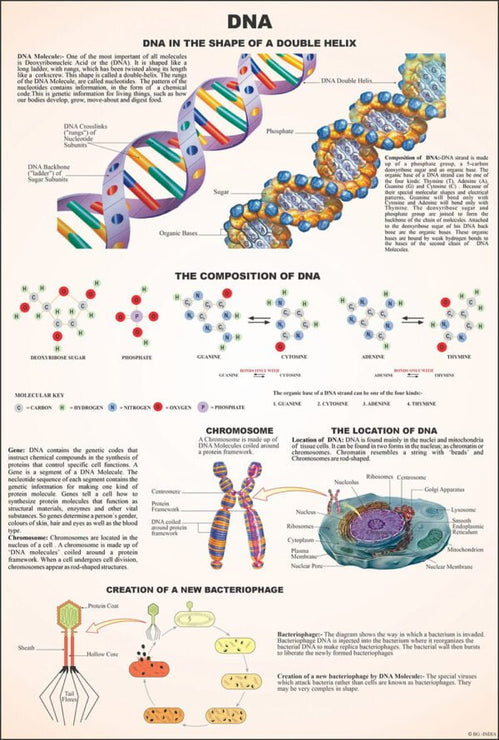 Cytology