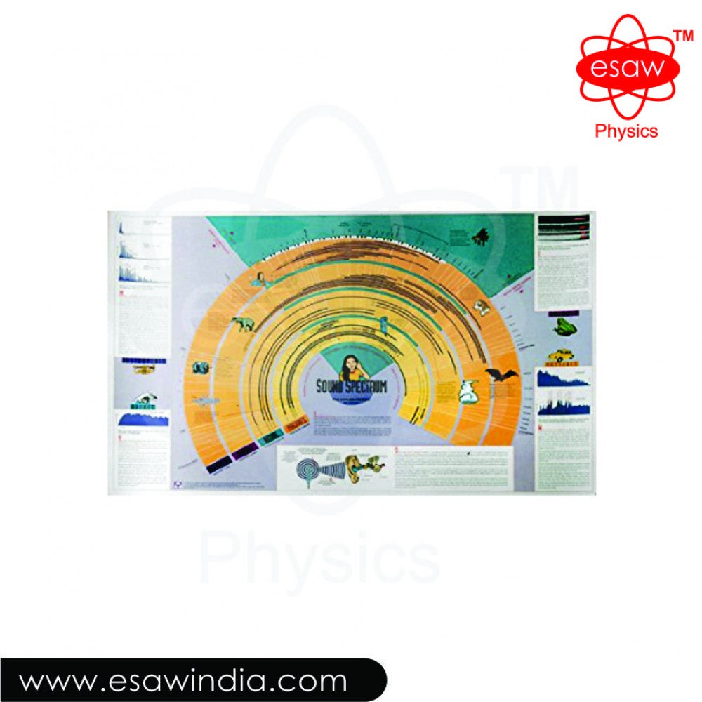 ESAW Sound Spectrum Chart (SW-2913)