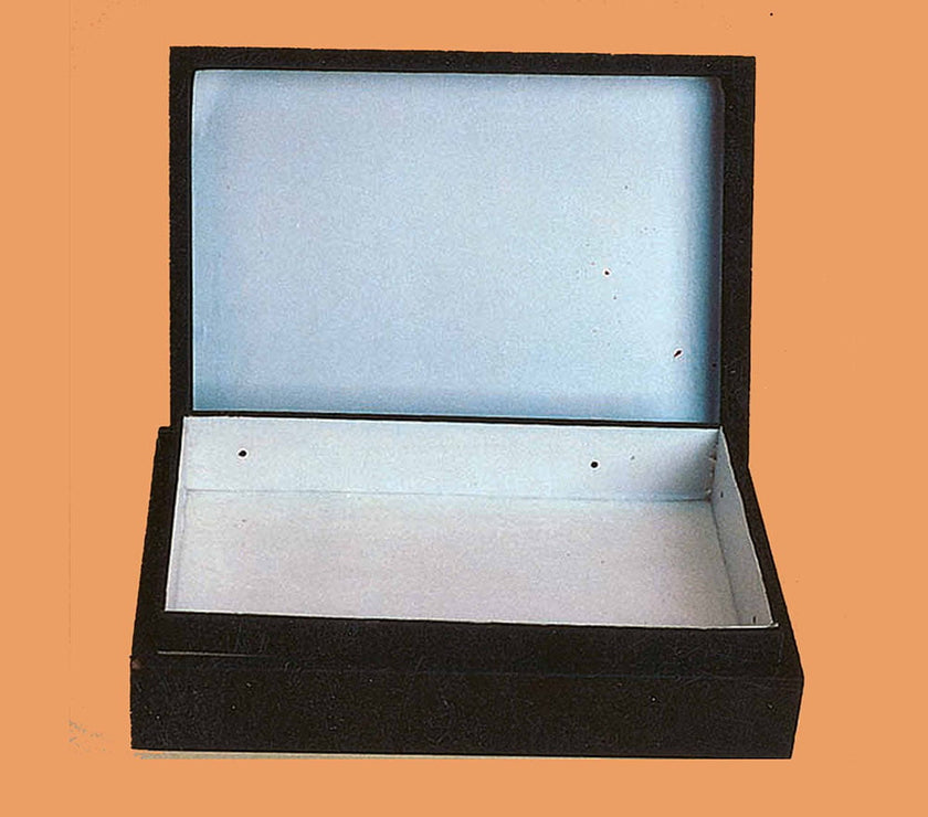 Insect Setting Box