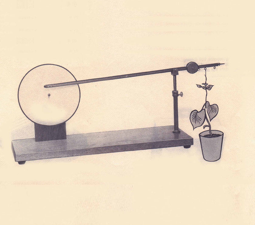 Rotating Disc Auxanometer