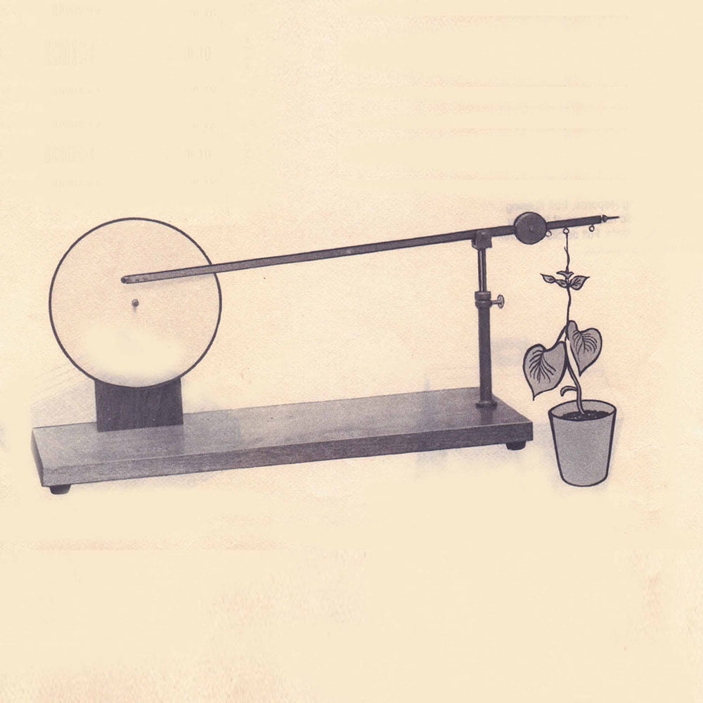 Rotating Disc Auxanometer